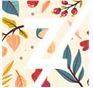 Zappatos