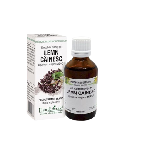 Extract din mladite de lemn cainesc, 50ml, PlantExtrakt