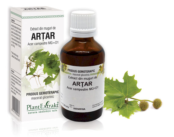 Extract din muguri de artar, 50ml, PlantExtrakt