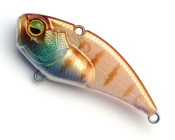 Cicada Raid Level VIB Boost, Onion Gill, 3.8cm, 7g