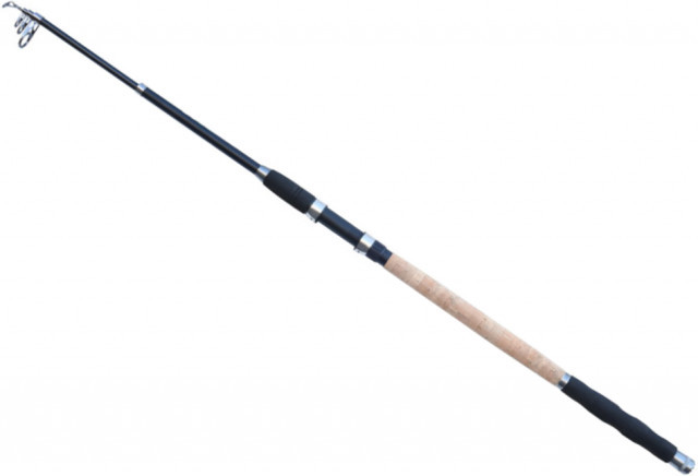 Lanseta Carp Zoom Action N Tele, 3m, 60-120g