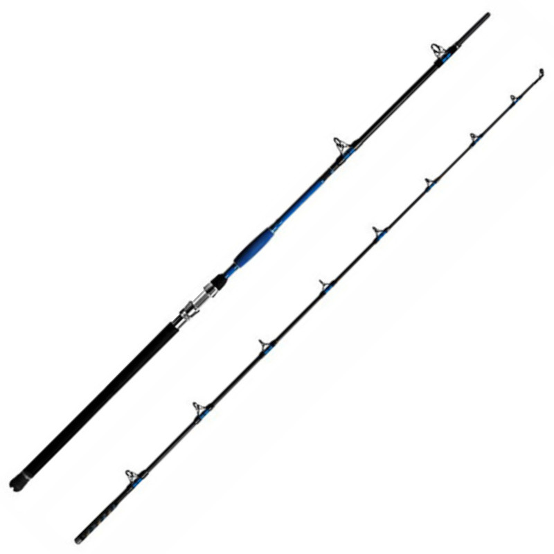 Lanseta Delphin Hazard, 3.10m, 500g, 2 tronsoane
