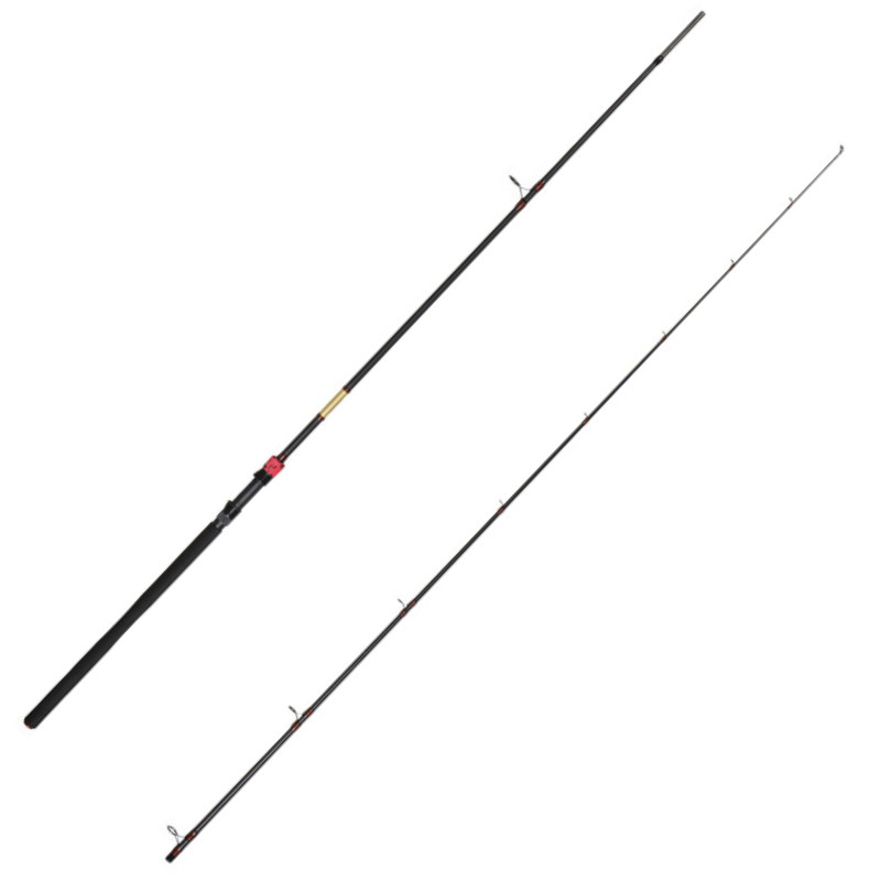 Lanseta Delphin Murena Power, 3.00m, 125g, 2 tronsoane