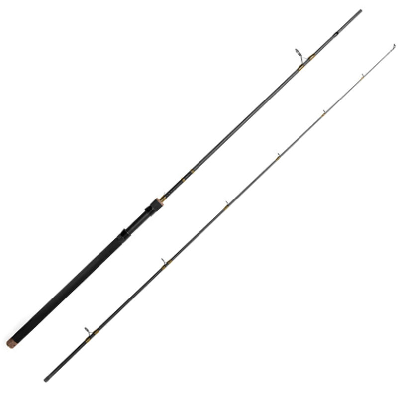 Lanseta Delphin Murena, 2.40m, 100g, 2 tronsoane