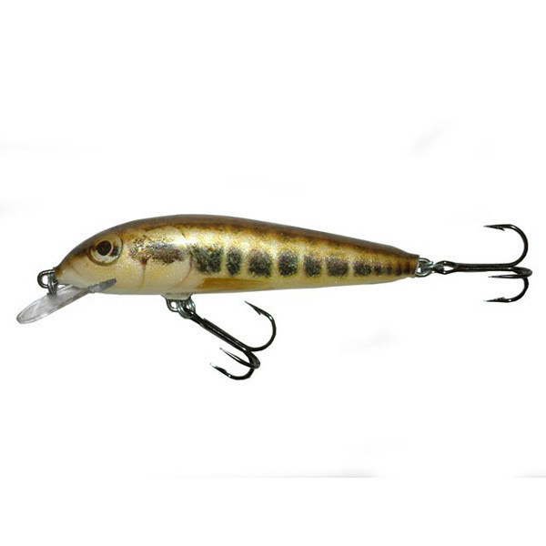 Vobler Salmo Minnow M7F M plutitor 7 cm/6 gr