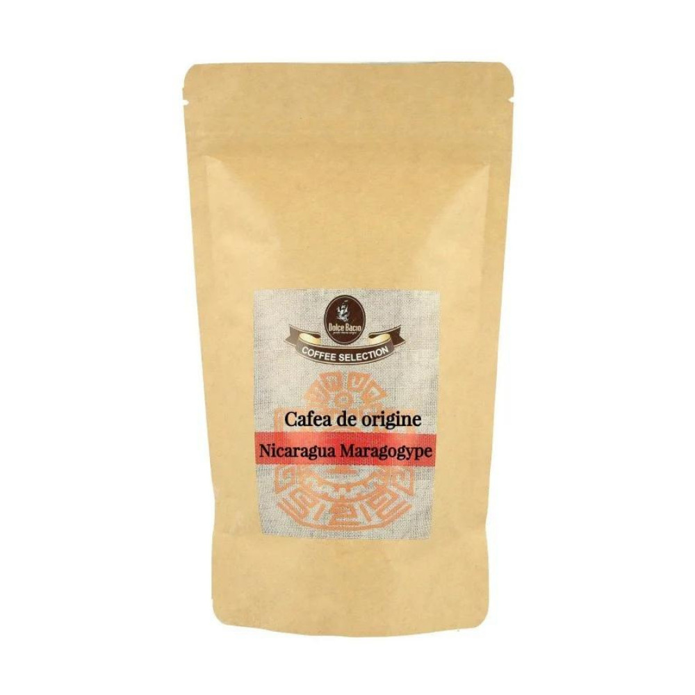 Nicaragua Maragogype (Gramaj: 100g)