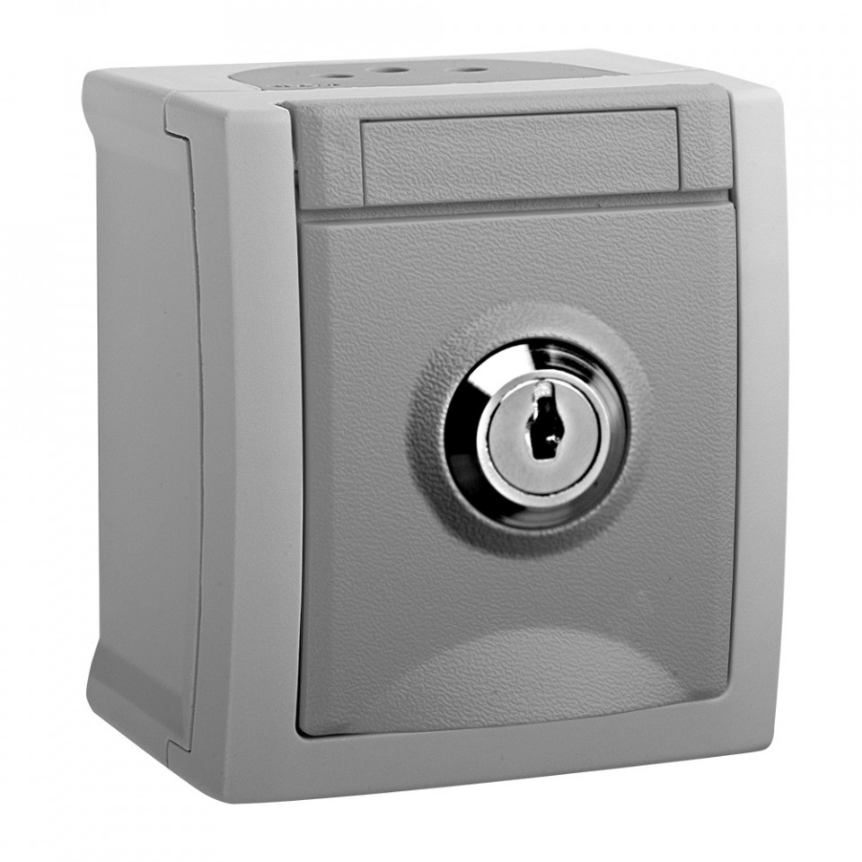 Priza simpla cu cheie IP54 Pacific Panasonic, PT, gri
