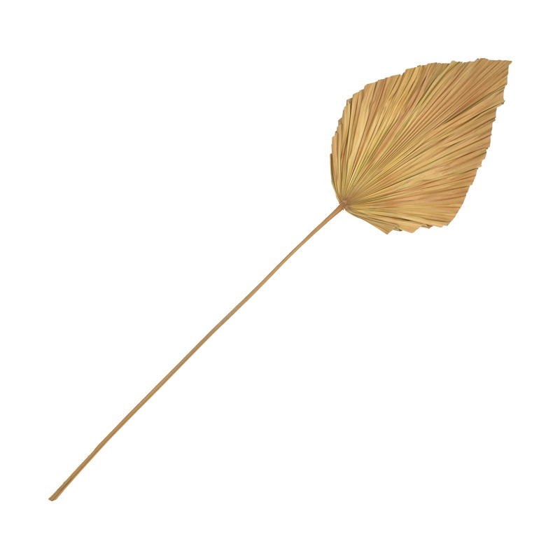 Decoratiune frunza Walsy Natural H135 cm