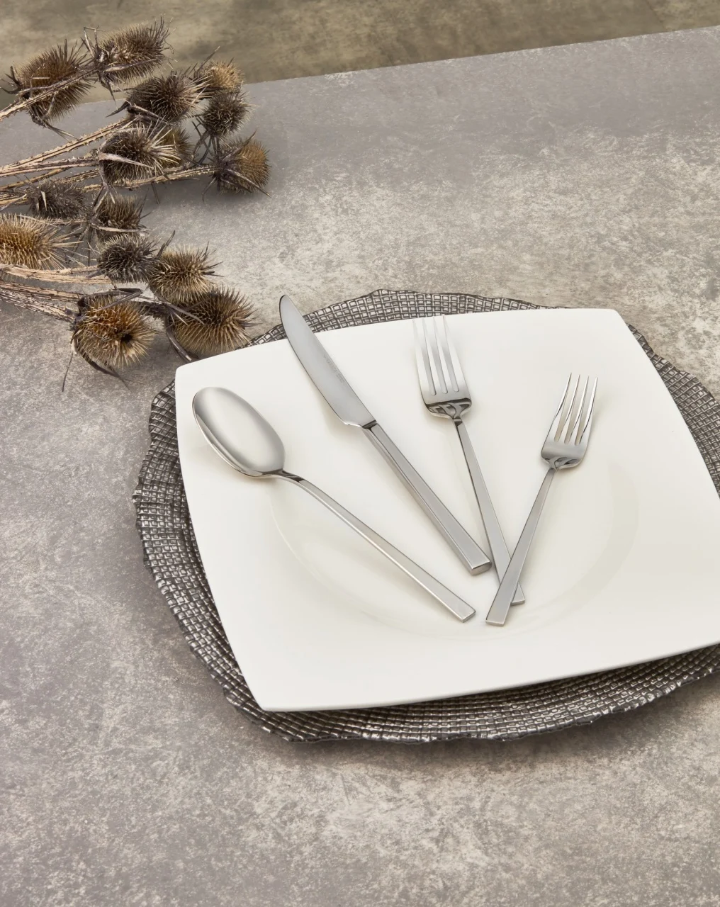 Set tacamuri 24 bucati Ware Argintiu 23x2 cm