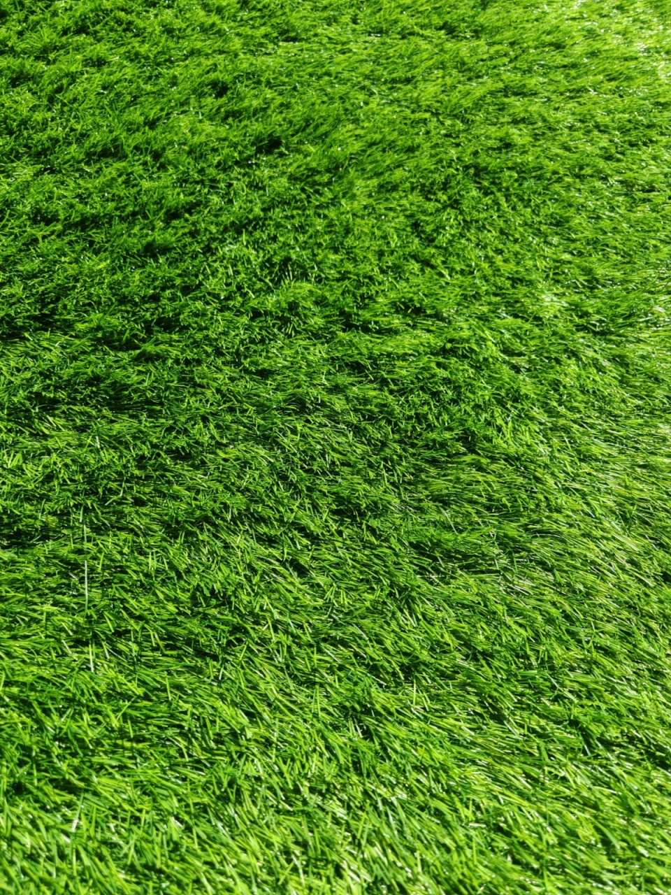 Gazon Artificial, Avent, Verde, 300x1100 cm, Delta