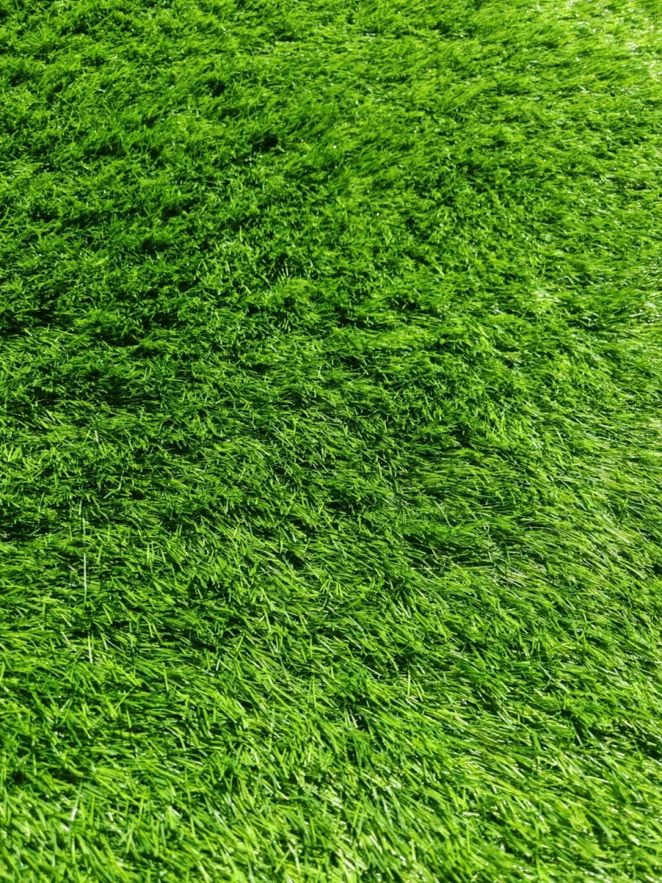 Gazon Artificial, Ricos, Verde, 200x700 cm, Delta