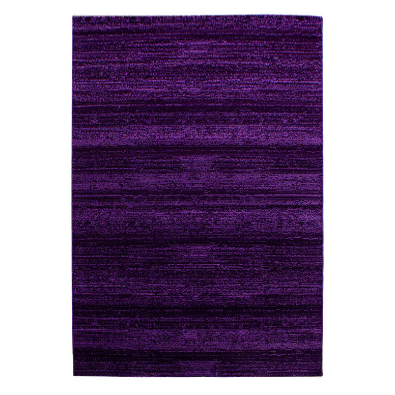 Covor Plus Lila V1 140 x 200 cm