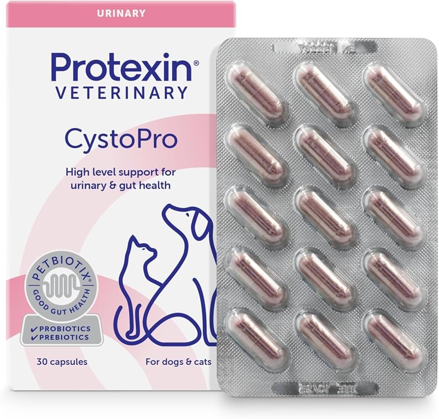 CystoPro, capsule
