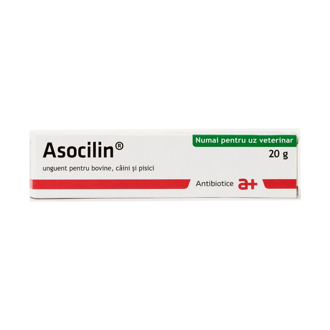 Asocilin Unguent, 20 grame