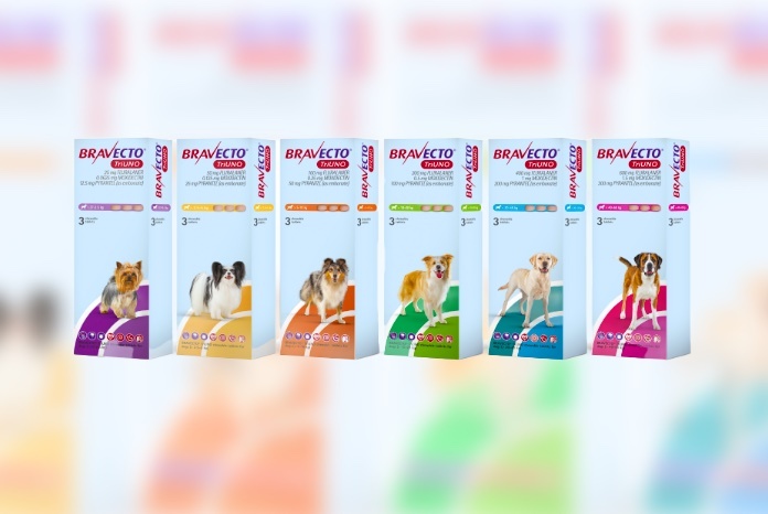 Bravecto TriUNO, 1 tableta