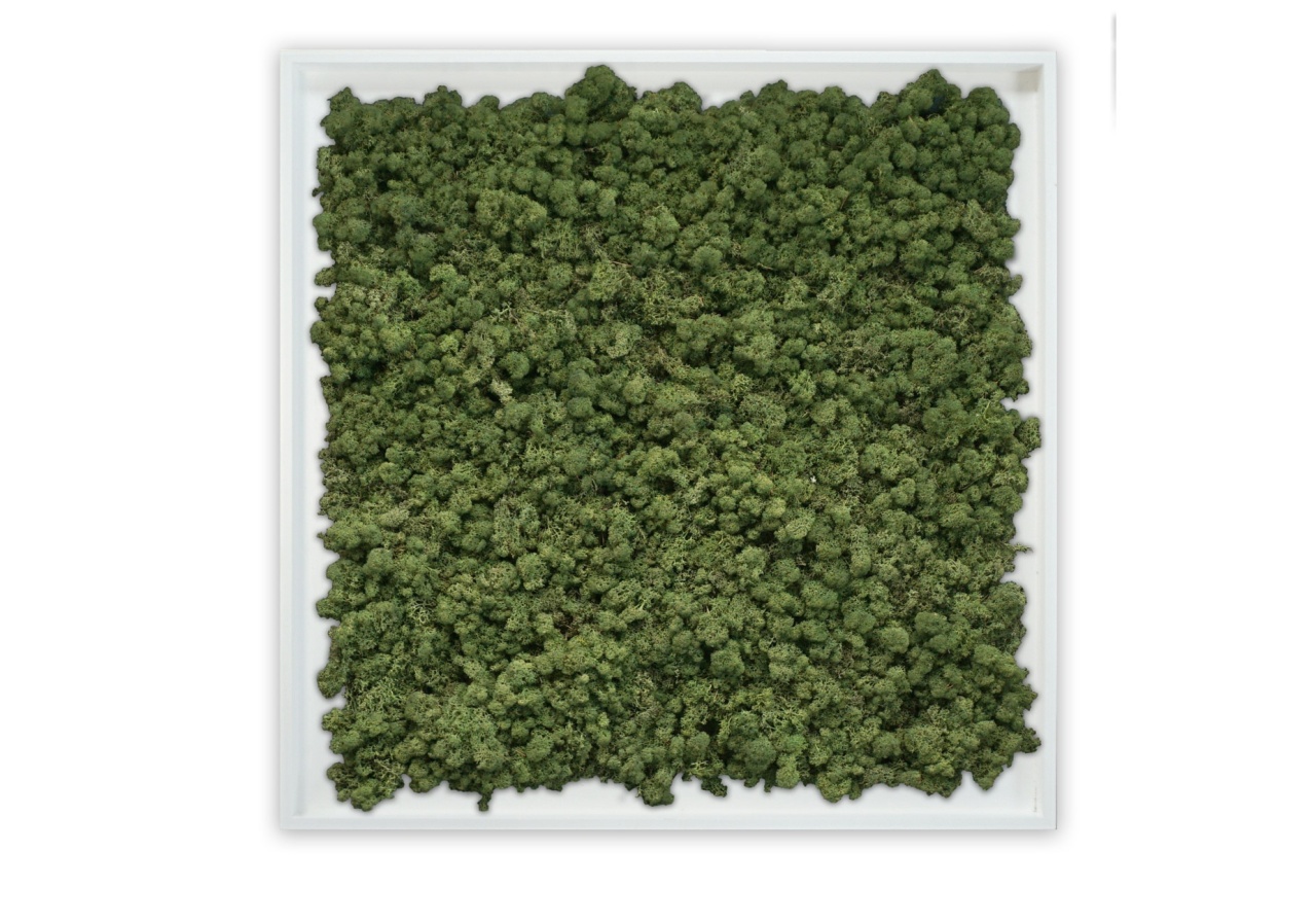 Panou decorativ , Muschi, My Torvtak Moss Green