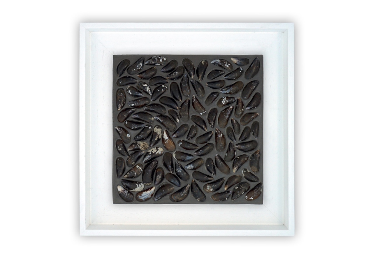 Panou decorativ lemn, Scoici, My Dutch Dyke White