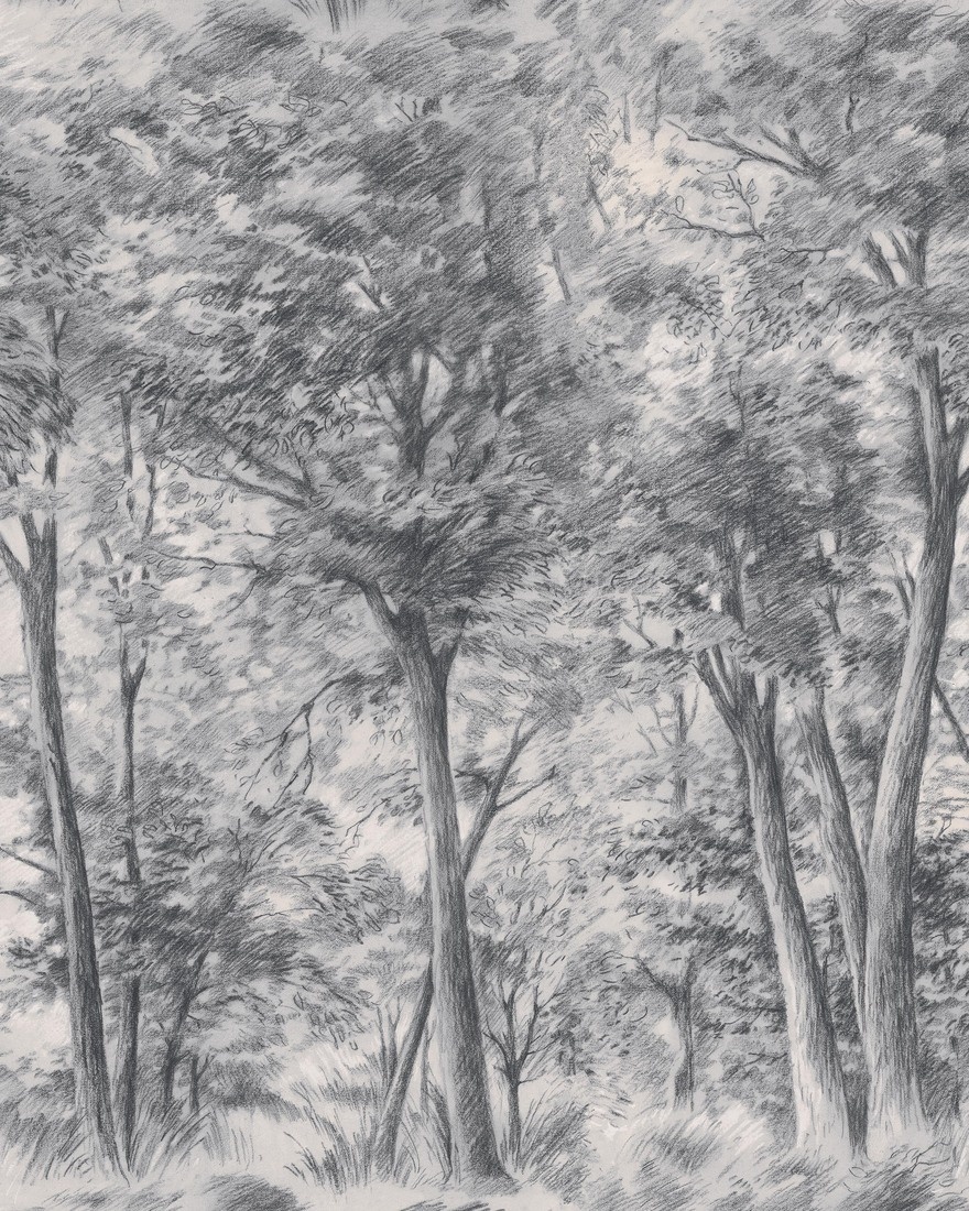 Fototapet lavabil, Sketch of Trees 9630W
