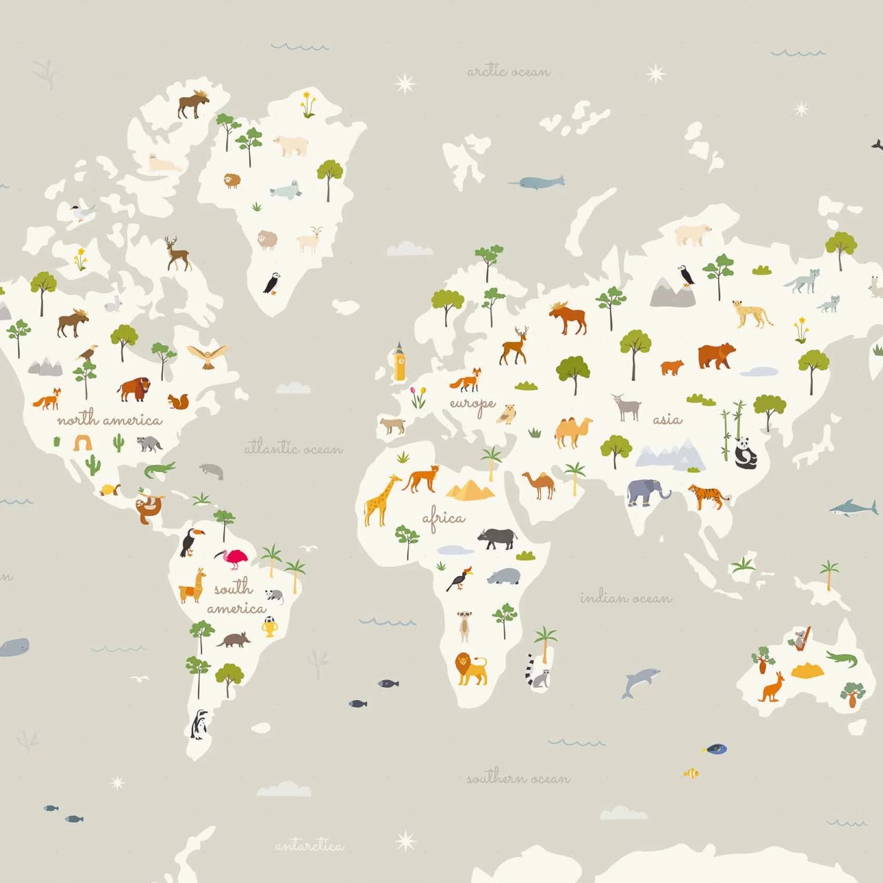 Fototapet Animal Map, Cloud, Coordonne
