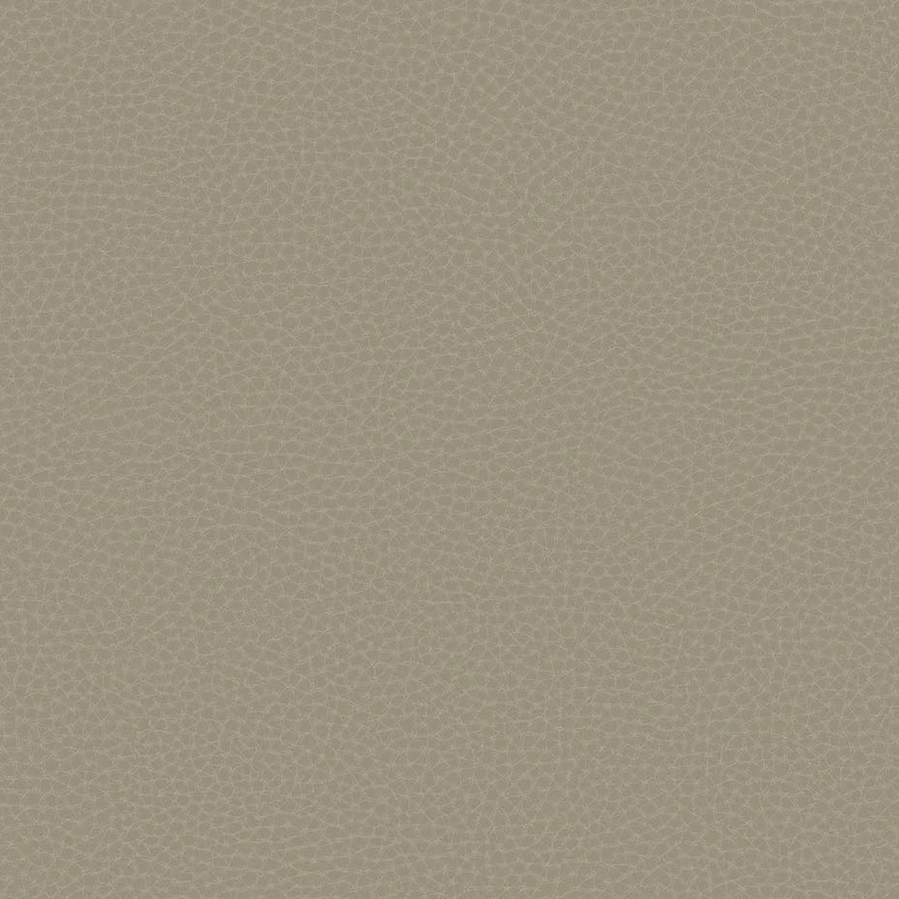 Fototapet, Chic Leather, 64788006, Coordonne