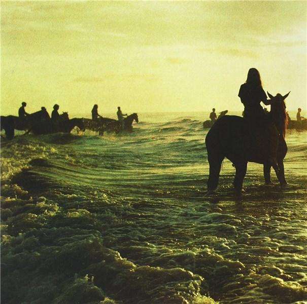 Holy Fire - Vinyl | Foals
