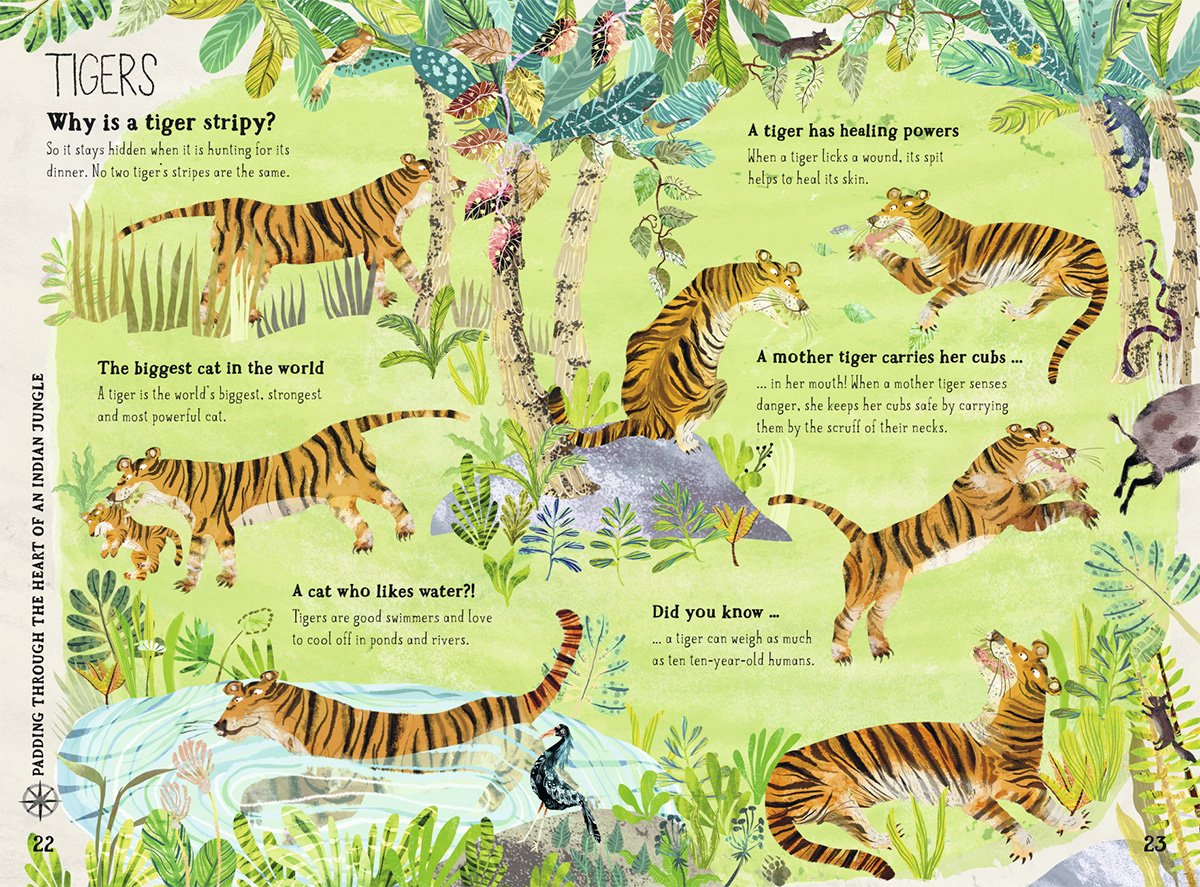 The Big Book of Beasts | Yuval Zommer, Barbara Taylor