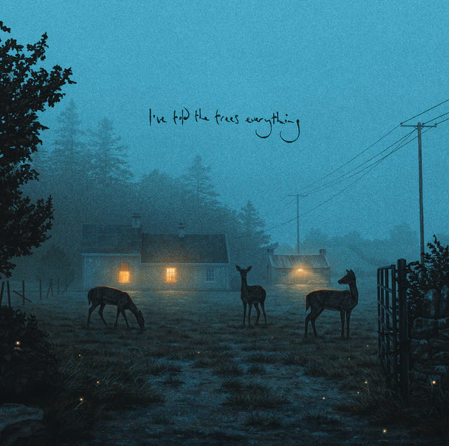 I've Told The Trees Everything - Vinyl (33 RPM) | Dermot Kennedy