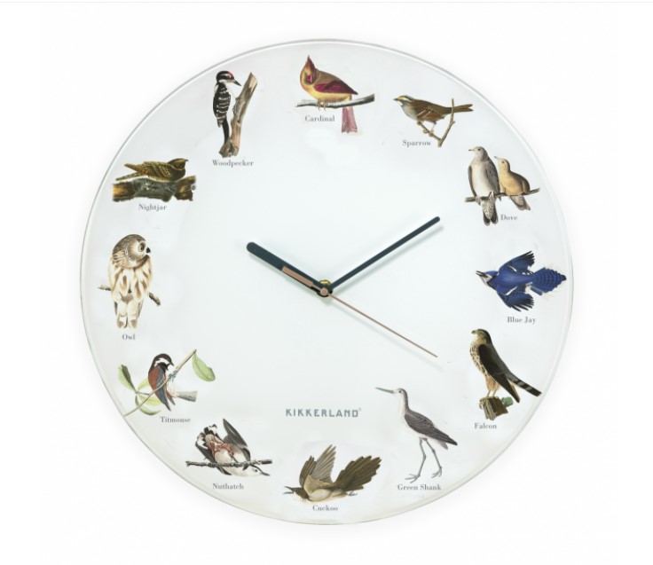 Ceas de perete - Bird Call | Kikkerland