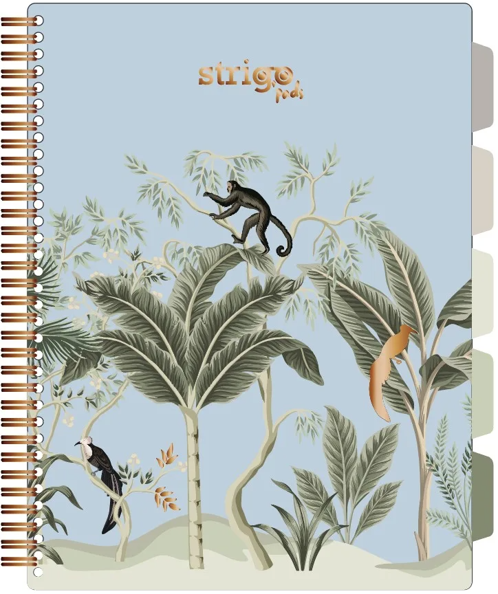Caiet cu spirala si separatoare - Pads Project Book - Africa, A4 - Matematica | Strigo