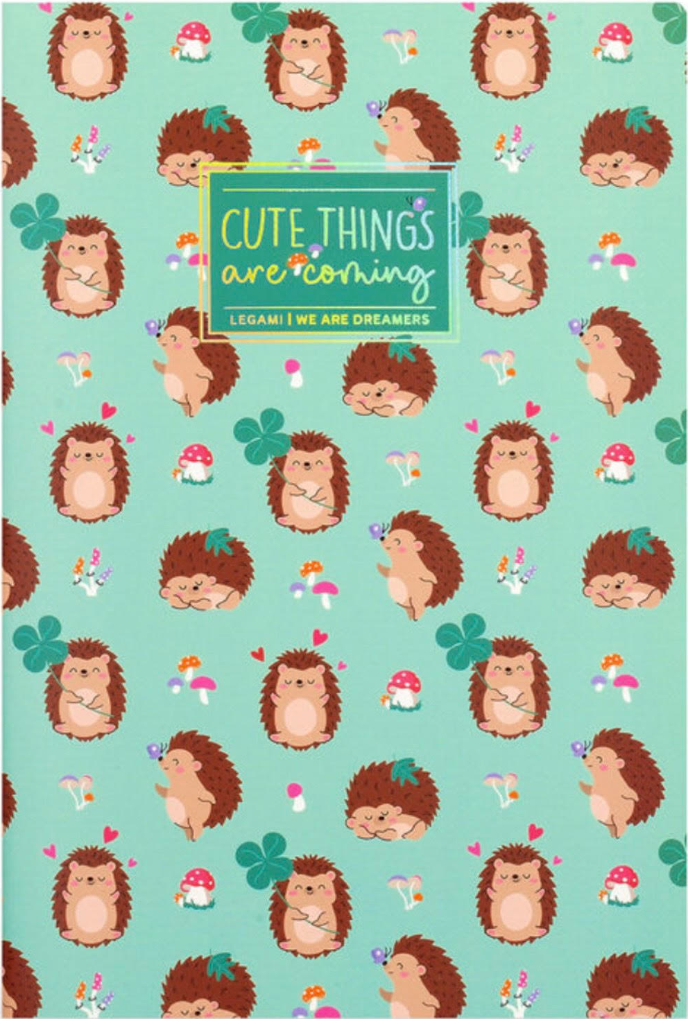 Caiet - Quaderno - Hedgehog - Medium | Legami