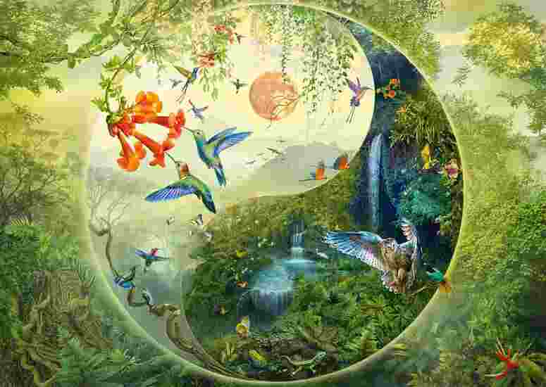 Puzzle 1000 piese - Yin & Yang - In padurea colibri | Schmidt