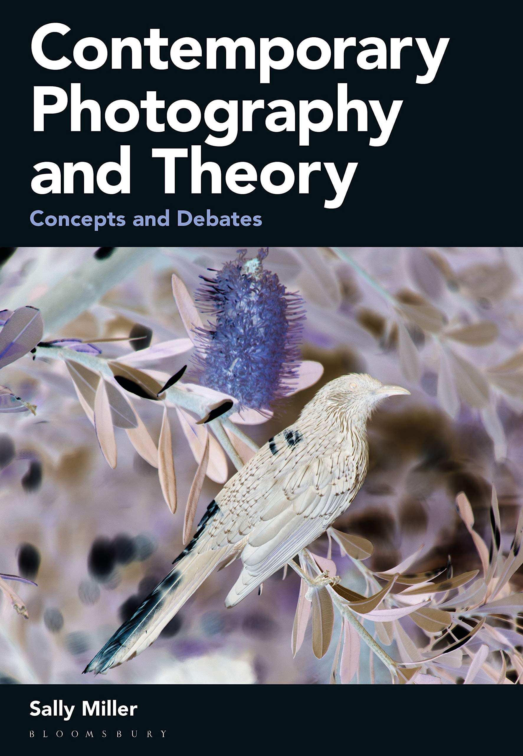 Contemporary Photography and Theory | Sally Miller