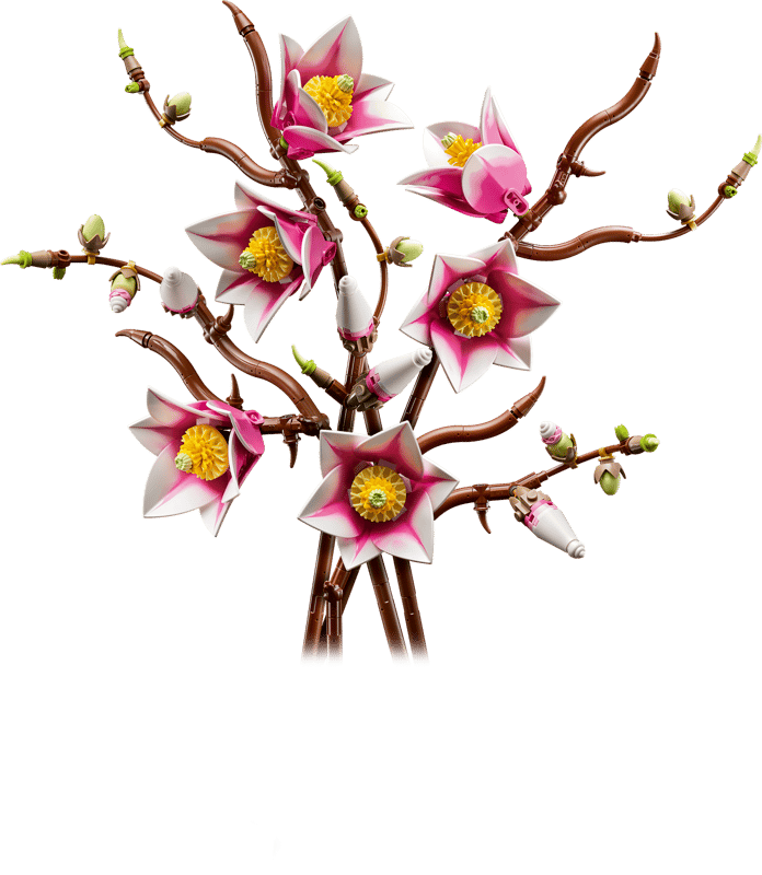 LEGO Botanicals - Magnolia Branches (11510) | LEGO