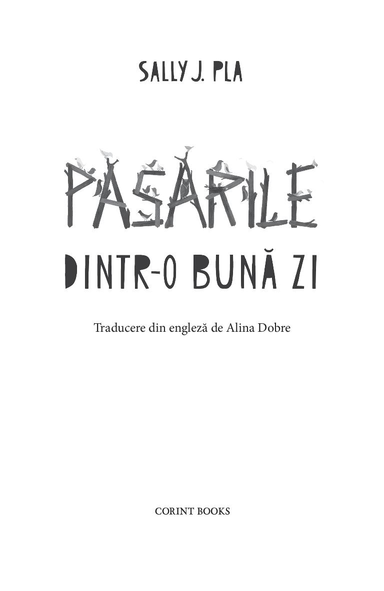 Pasarile dintr-o buna zi | Sally J. Pla