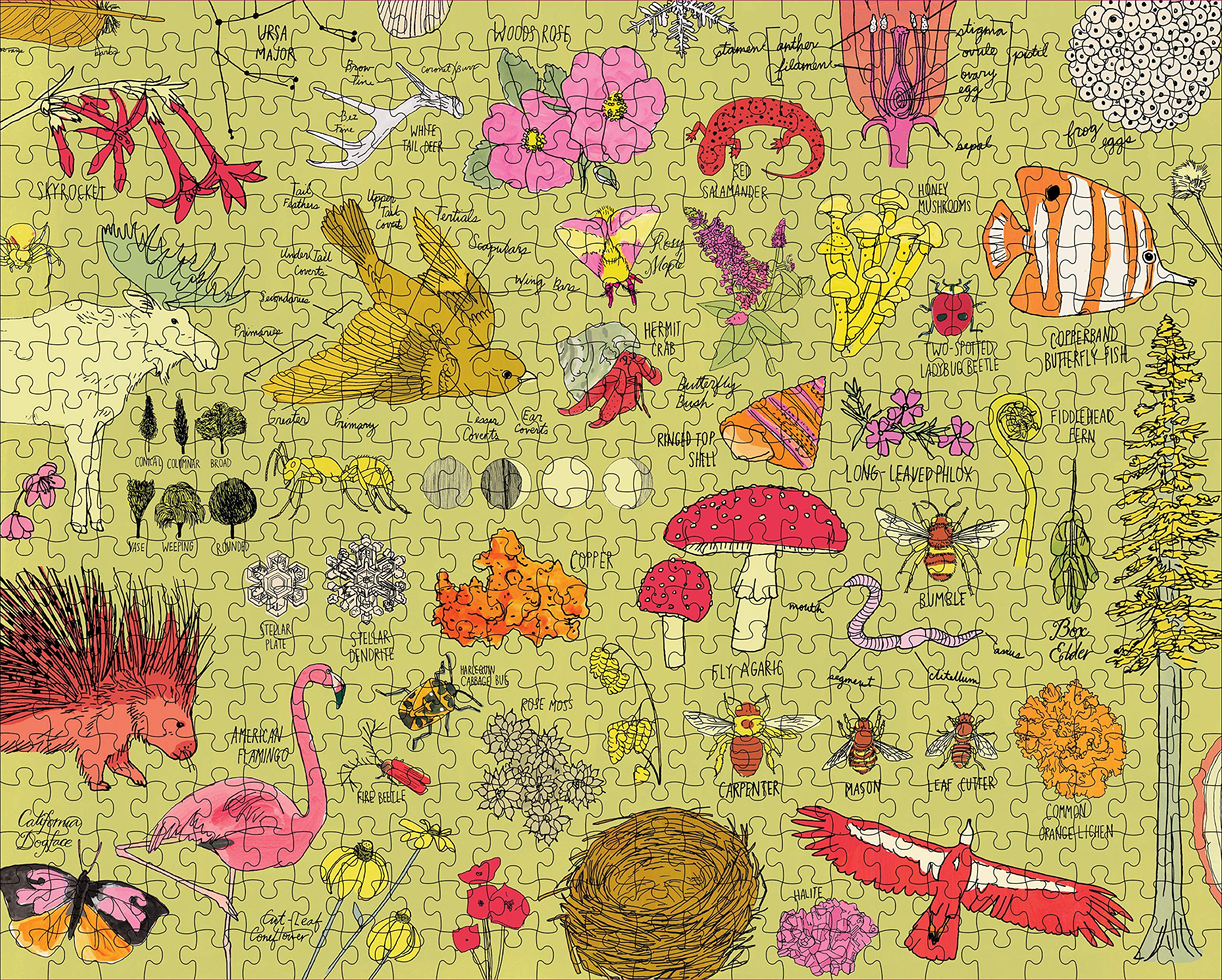 Nature Anatomy - The Puzzle 500 pieces | Storey
