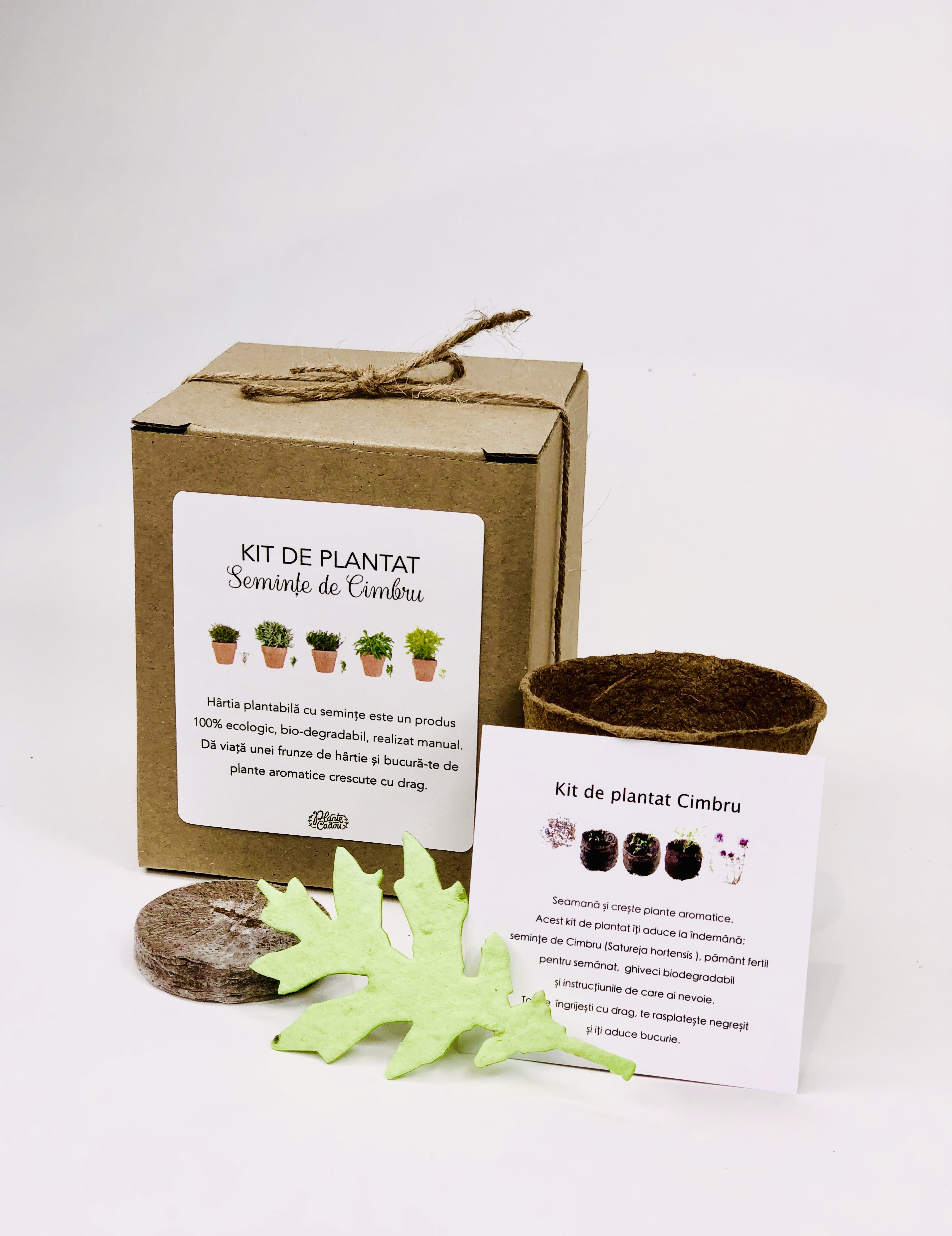 Kit de plantat hartie plantabila Cimbru | Plante Cadou