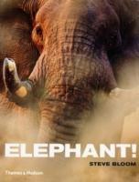 Elephant! | Steve Bloom