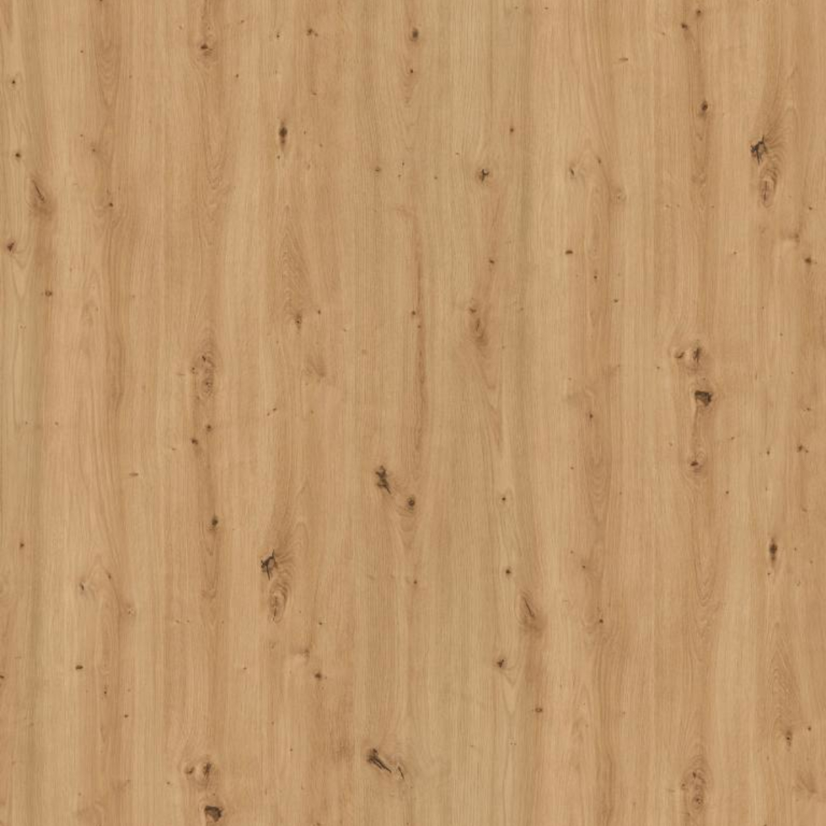 Blat de lucru compact laminat Egger H1318 ST10 Stejar salbatic natur, miez negru, textura naturala de lemn-aspru, 4100 x 650 x 12 mm
