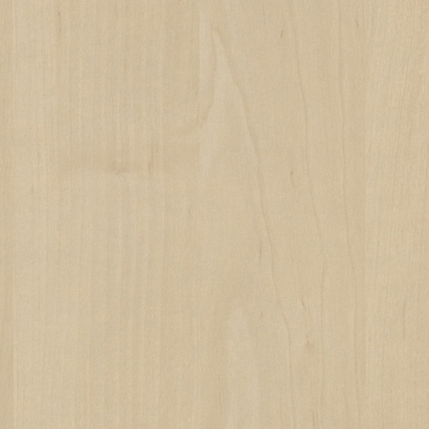Folie cant melamina cu adeziv, Mesteacan alb 1715 21 mm, 50 m