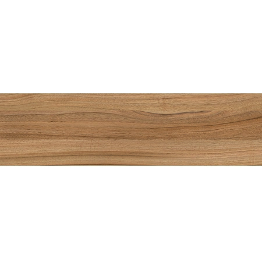 Cant ABS, Nuc Lyon 9614 BS, 22 x 1 mm, 10 ml