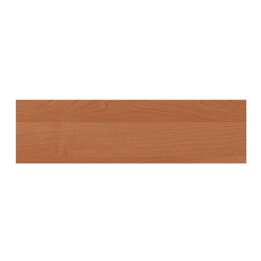 Cant ABS Arin 1912 BS T, 42 x 2 mm, 5 ml