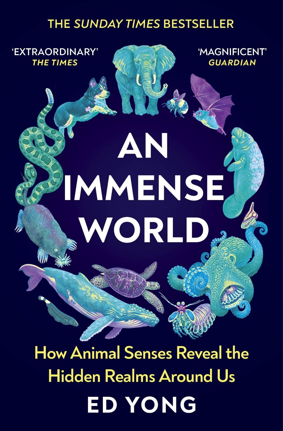 An Immense World