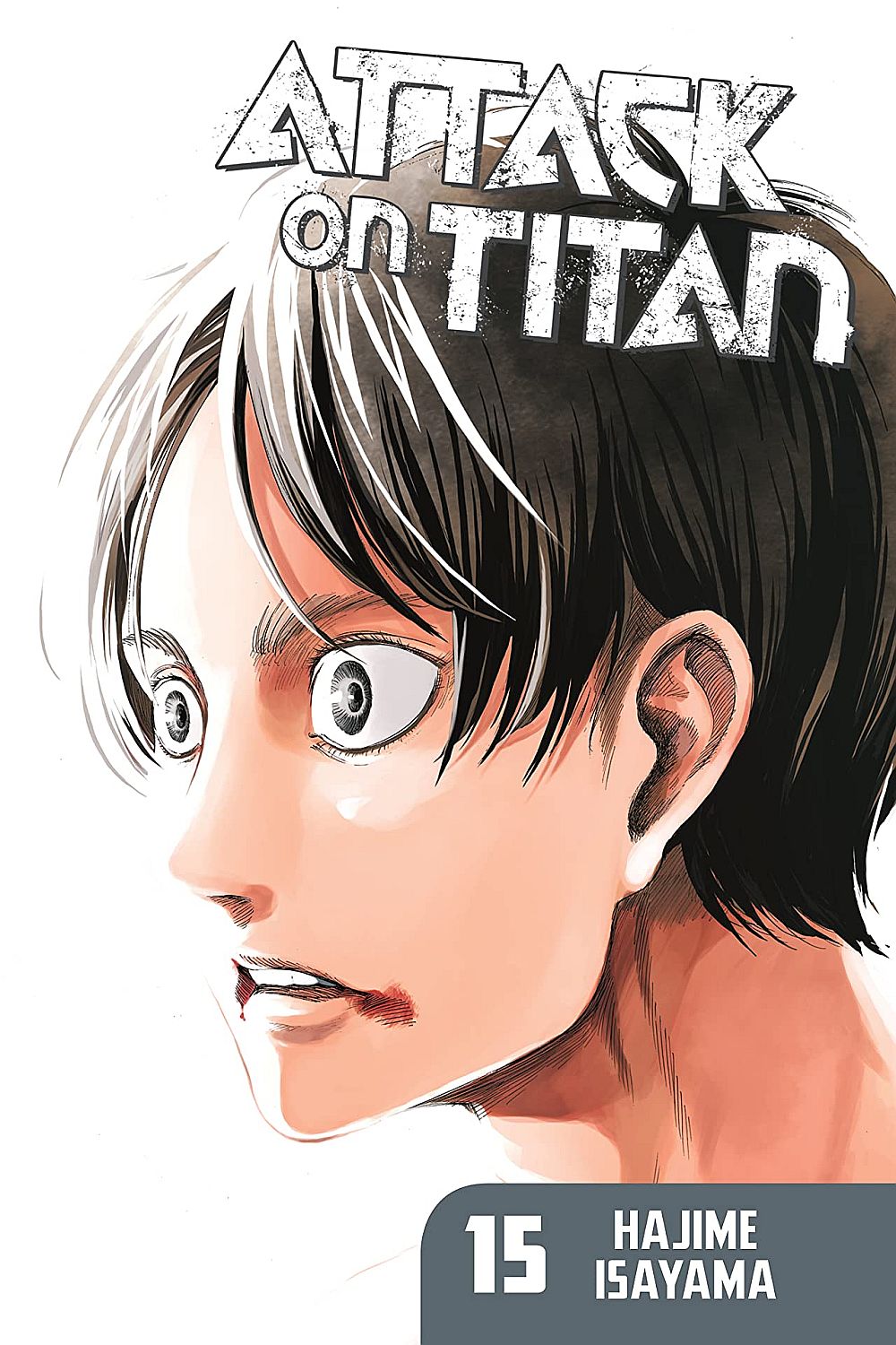 Attack on Titan, Vol. 15