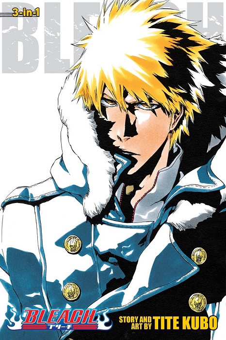 Bleach 3-IN-1, Vol. 17