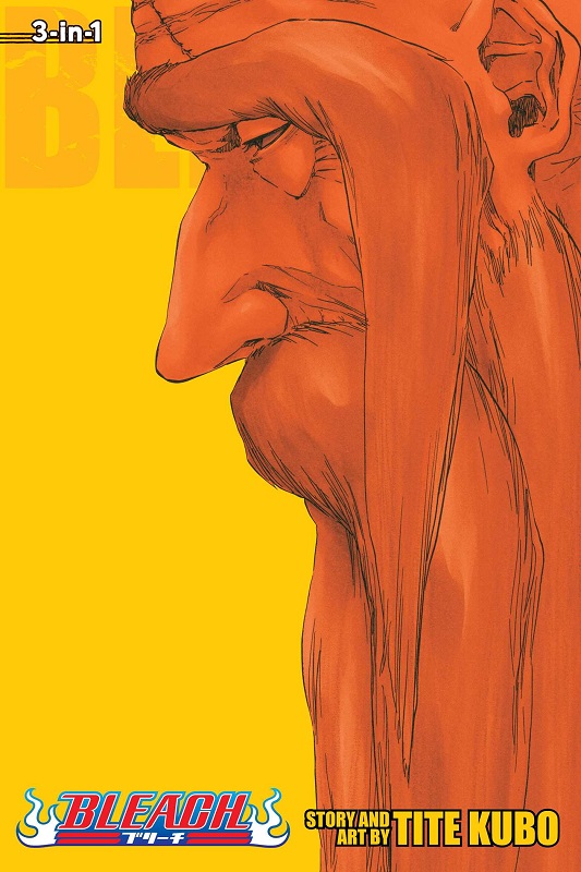 Bleach 3-IN-1, Vol. 20