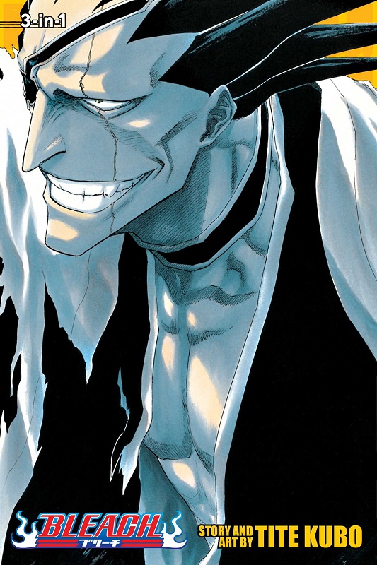 Bleach 3-IN-1, Vol. 5