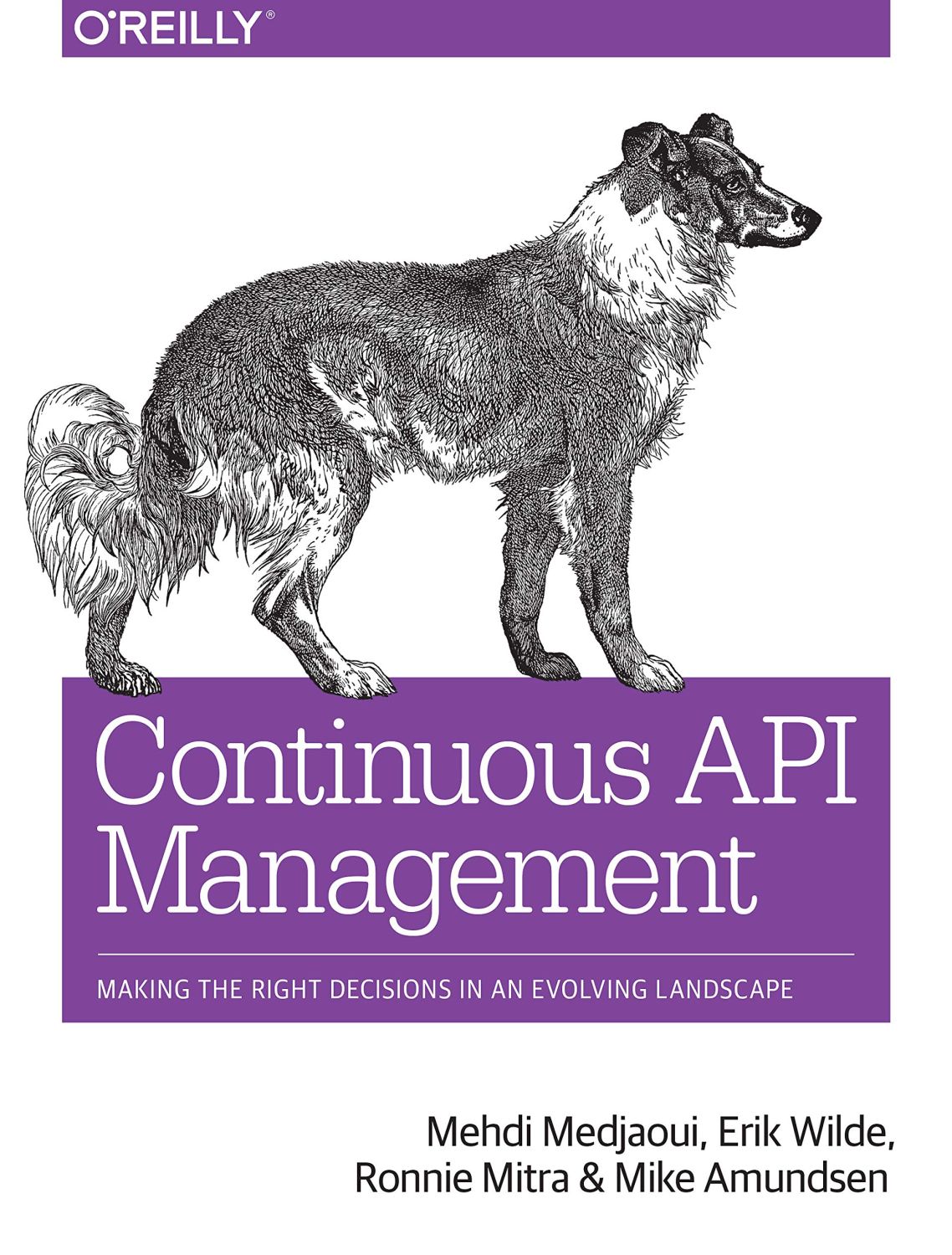 Continuous API Management