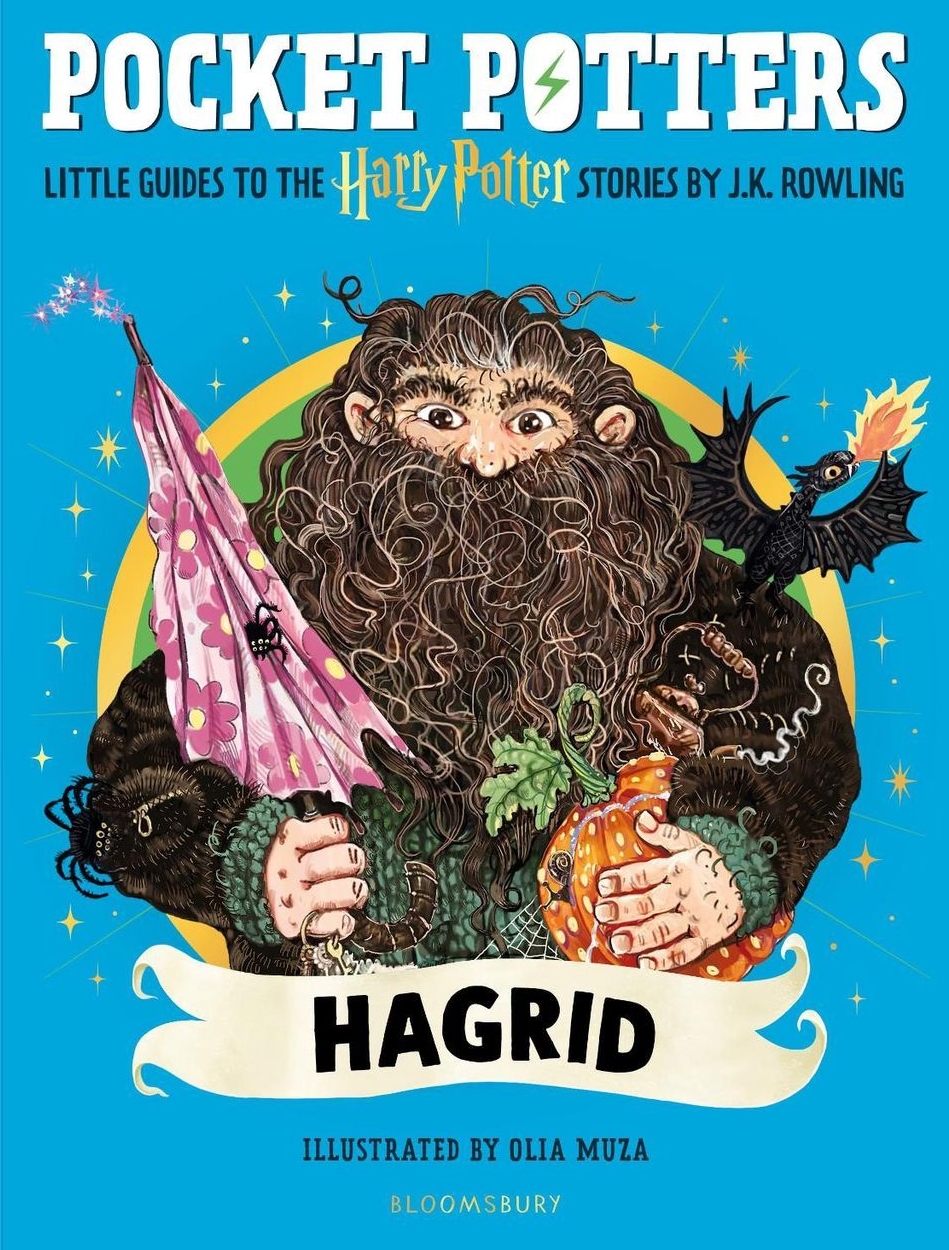 Hagrid (Pocket Potters)