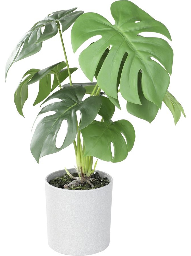 Plantă artificială Eglo - Tobetsu, monstera în ghiveci, 39 x 27 cm