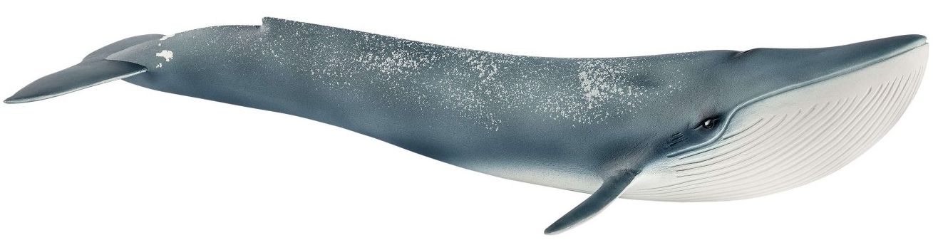 Figurina Schleich Wild Life - Balena albastra